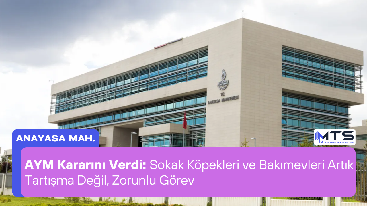 Sokak Köpekleri Ve Bakımevleri Artık Tartışma Değil, Zorunlu Görev